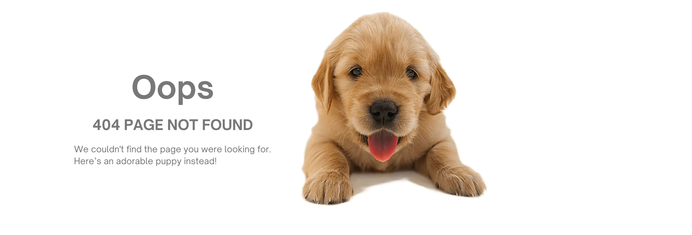 404 error page puppy